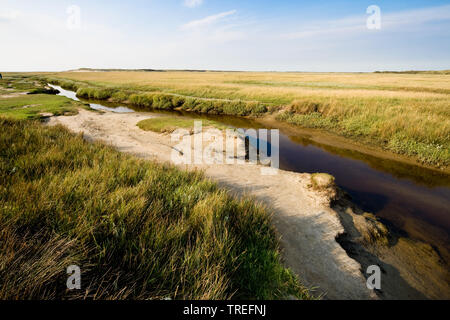 Marsh Lake De Slufter mit Tide weg, Niederlande, Texel, De Slufter, De Slufter Stockfoto