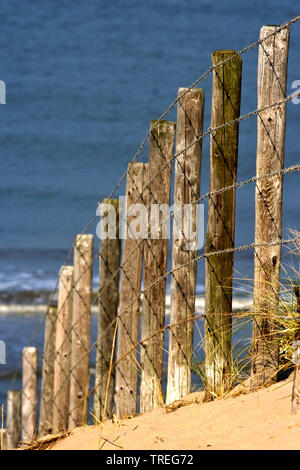 Sandigen weg zum Strand führenden, Katwijk, Niederlande Stockfoto