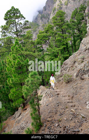 Wanderweg von Pavillon an der Cumbrecita Caldera Taburiente Nationalpark in die Kapelle Ermita de la Virgen del Pino, Kanarische Inseln, La Palma, El Paso Stockfoto