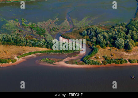 Luftaufnahme von Auwald, tideway und Süßwasser wattgebiet der Elbe, Schweinesand, 26.09.2009, Deutschland, Elbe, Hamburg Stockfoto