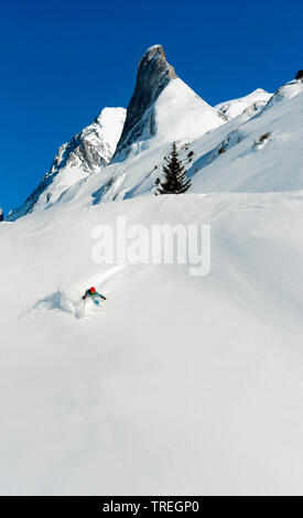 Off Piste im Skigebiet von Les Allues, Berg Aiguille de la Vanoise im Hintergrund, Frankreich, Savoyen, Nationalpark Vanoise Stockfoto