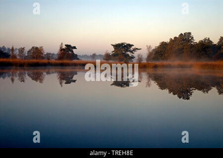 See an der Nationalparks Dwingelderveld im Herbst, Niederlande, Drente, Nationalparks Dwingelderveld Stockfoto