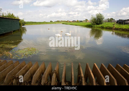 Gitter zum Schutz einer Pumpstation gegen schwimmenden Müll, Niederlande Stockfoto