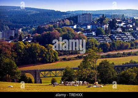 Wohngebiet im Mittelgebirge, Deutschland, Nordrhein-Westfalen, Sauerland, Meinerzhagen Stockfoto