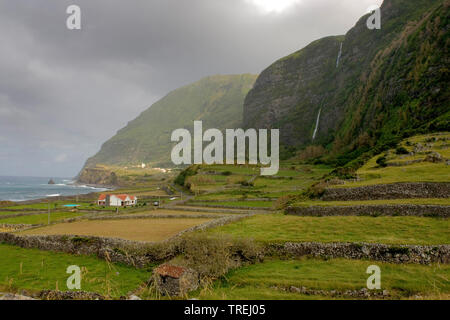 Landschaft auf den Azoren, Azoren, Flores, Faja Grande Stockfoto