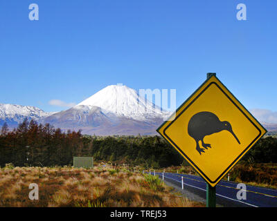 Warnzeichen, Kiwi in Neuseeland, Neuseeland, Nordinsel Stockfoto