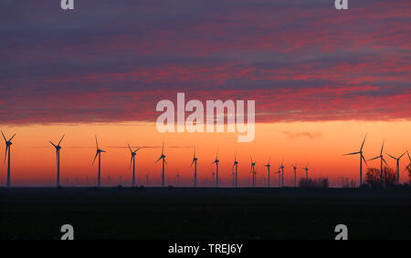 Wind fram im Abendlicht, Niederlande, Friesland, Lemmer Stockfoto