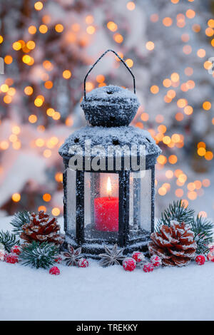 Laterne mit Weihnachten Dekoration stehen im Schnee, Schweiz Stockfoto