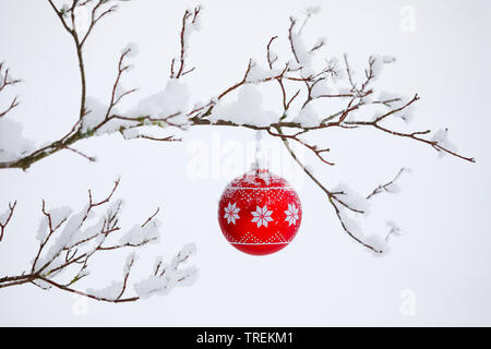 Christmas Ball an einem verschneiten Zweig, Schweiz Stockfoto