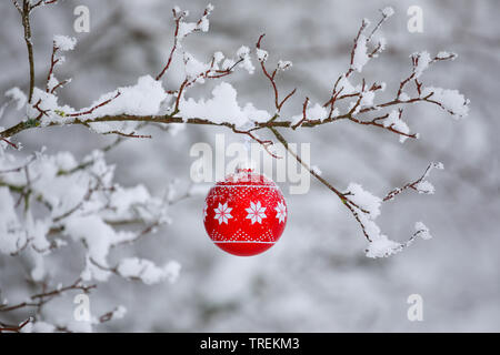 Christmas Ball an einem verschneiten Zweig, Schweiz Stockfoto