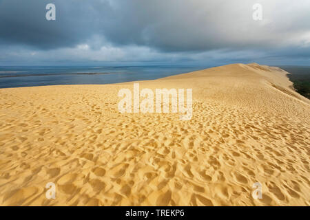 Düne von Pilat, höchste Sanddüne in Europa, Frankreich, Arcachon Stockfoto