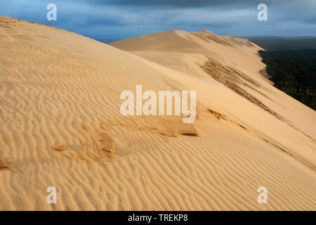 Düne von Pilat, höchste Sanddüne in Europa, Frankreich, Arcachon Stockfoto