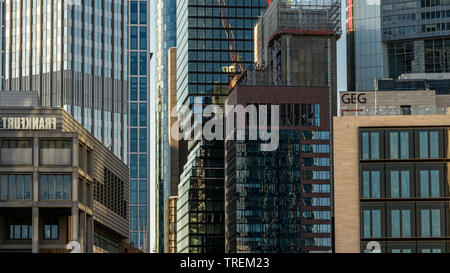 Nahaufnahme der Frankfurter Skyline am Goldenen Stunde Frankfurt, Hessen, Deutschland Stockfoto