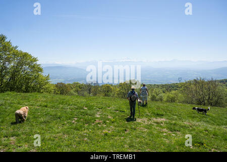 Mont-Blanc Panorama, Plateau du Retord, Southern-Jura, Ain, Frankreich Stockfoto