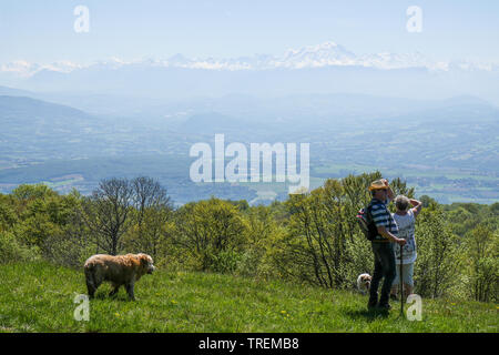 Mont-Blanc Panorama, Plateau du Retord, Southern-Jura, Ain, Frankreich Stockfoto