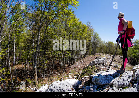 Bergwandern im Wald über das Plateau du Retord, Ain, Frankreich Stockfoto