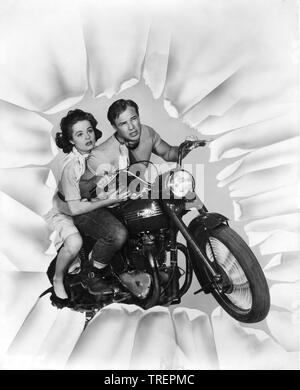 Mary Murphy und Marlon Brando auf Triumph Motorrad DER WILDE 1953 Regisseur Laslo Benedek Produzent Stanley Kramer Werbung Foto von William E. Cronenweth Stanley Kramer Produktionen/Columbia Pictures gestellt Stockfoto