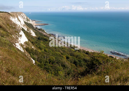 Blick nach Osten entlang der Steilküste - Tops an Capel-le-Ferne in Richtung Queller Hoe, Kent Stockfoto