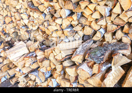 Brennholz birke in Woodpile Hintergrund gestellt Stockfoto