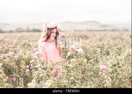 Schöne jugendlich Mädchen 14-16 Jahre alten posiert in Rose Feld. Tragen Kranz mit Blumen. Teenager Haube. Stockfoto