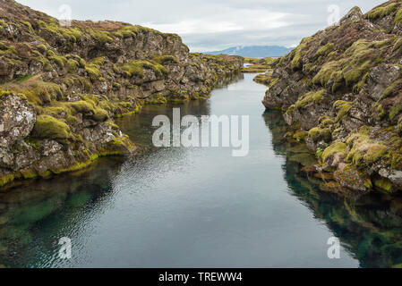 Silfra ist ein Riss zwischen der nordamerikanischen und der eurasischen Kontinentalplatte im Nationalpark Thingvellir, Island Stockfoto