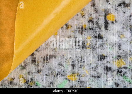 Auto Bodenbeschichtung Wasserdicht (Auto Schalldämmung) Stockfoto