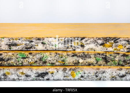 Auto Bodenbeschichtung Wasserdicht (Auto Schalldämmung) Stockfoto