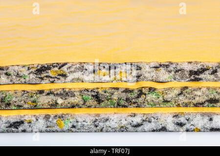 Auto Bodenbeschichtung Wasserdicht (Auto Schalldämmung) Stockfoto