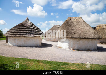 Von außen neu Steinzeit Steinzeit Hütte/stoneage Hütten mit Reetdach/Dächern. Dorf Ausstellung; Visitor Center Stonehenge/Stone Henge. Amesbury, Wiltshire, UK (109) Stockfoto