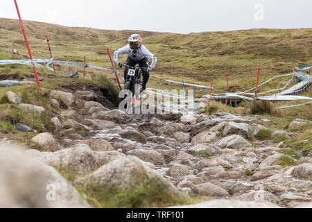 Finn crash Sequenz Iles während der Praxis laufen - UCI Mountainbike Weltcup in Fort William, Schottland - Serie von 13 Bilder Bild 1/13 Stockfoto