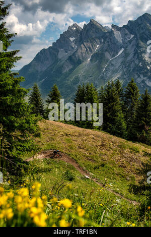 Eine Frau reitet ein Mountainbike auf einem Trail im Sommer in den Französischen Alpen Resort La Clusaz, Frankreich. Stockfoto