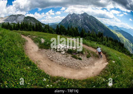 Ein Mann reitet ein Mountainbike auf einem Trail im Sommer in den Französischen Alpen Resort La Clusaz, Frankreich. Stockfoto