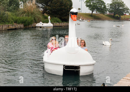 Familie mit Jugendlichen in ein Tretboot wie ein Schwan mit einem Paddel auf einem kleinen See in Ryde auf der Isle of Wight geprägt. Ryde Canoe Lake. England UK (99) Stockfoto