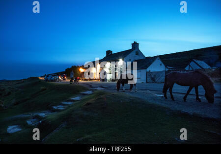 Warren House Inn in Dartmoor Devon England UK Mai 2019 der Warren House Inn ist ein isolierten und Public House im Herzen von Dartmoor, Devon, Ger Stockfoto