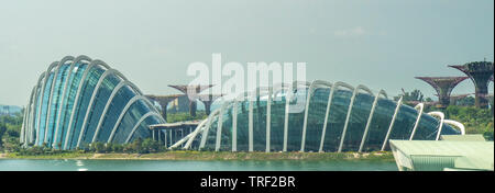 Blume Kuppel- und Nebelwald Gewächshäuser Gärten an der Bucht von Singapur. Stockfoto