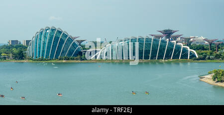 Blume Kuppel- und Nebelwald Gewächshäuser Gärten an der Bucht von Singapur. Stockfoto