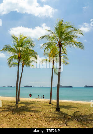 Menschen spielen und zum Strand von East Coast Park Singapur gehen auf einen sonnigen Tag. Stockfoto