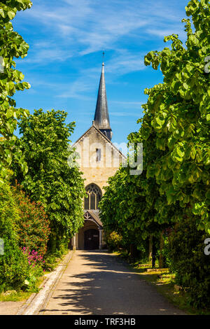 Kirche Saint Michel de Fontevraud, Fontevraud l'Abbaye, Maine-et-Loire, Pays de la Loire, Frankreich Stockfoto