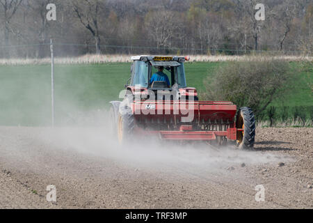 Bauer einpflanzen Sommergerste mit Massey Ferguson4245 Traktor und ein Vintage MF 30 Drillmaschine, in trockenen, staubigen Bedingungen. North Yorkshire, UK. Stockfoto