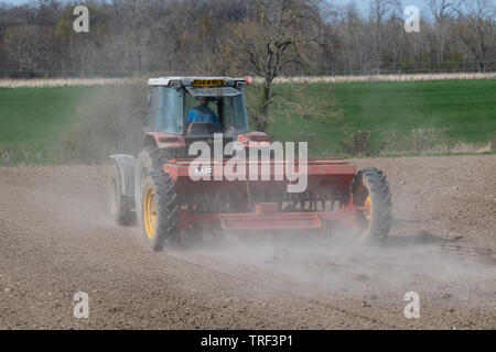 Bauer einpflanzen Sommergerste mit Massey Ferguson4245 Traktor und ein Vintage MF 30 Drillmaschine, in trockenen, staubigen Bedingungen. North Yorkshire, UK. Stockfoto