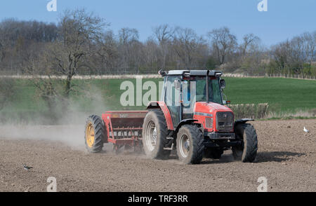 Bauer einpflanzen Sommergerste mit Massey Ferguson4245 Traktor und ein Vintage MF 30 Drillmaschine, in trockenen, staubigen Bedingungen. North Yorkshire, UK. Stockfoto