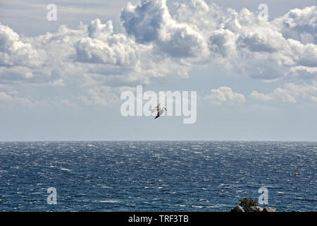 = Möwe das Fliegen in bewölkten Himmel über dem Schwarzen Meer = Krim Marine mit einem schönen Möwe fliegen in Hursuf Bay (Stadt Siedlung in der Nähe von Jalta) unter im Stockfoto