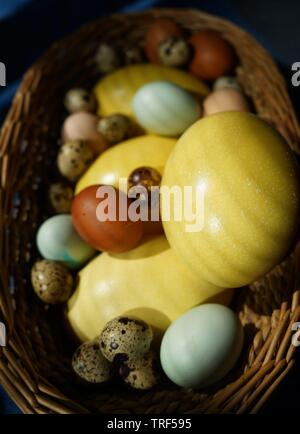 Korb voller Eier von verschiedenen Vögeln wie Nandu, Hühner, Wachteln, araucana oder naran. Stockfoto