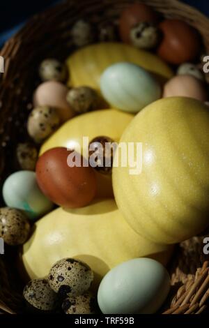 Korb voller Eier von verschiedenen Vögeln wie Nandu, Hühner, Wachteln, araucana oder naran. Stockfoto