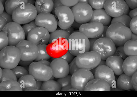 Tomaten in Lose können als Hintergrund- oder Tapeten und für andere Möglichkeit benutzt werden oder zu Ihrem Geschmack zu ändern. - Bild Stockfoto