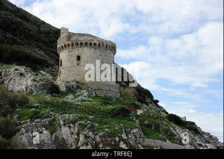 Alten Wehrturm Torre Paola auf einem Hügel nahe dem Mittelmeer im Nationalpark Circeo. Küste von Lungomare Di Sabaudia, Provinz von Lat. Stockfoto