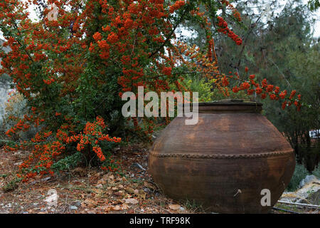 Alte Amphore, Tsiakkas Winery, Peléndhri, Zypern Stockfoto