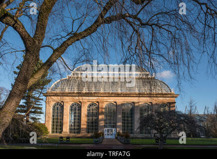 Das Palm House, Royal Botanic Garden Edinburgh Stockfoto