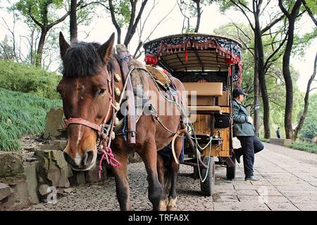 Eine düstere Pferd in Suzhou, China Stockfoto