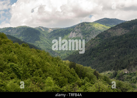 Landschaft von Zlatibor Berg. Grüne Wiesen und Hügel unter blauem Himmel mit Wolken im Frühling Stockfoto